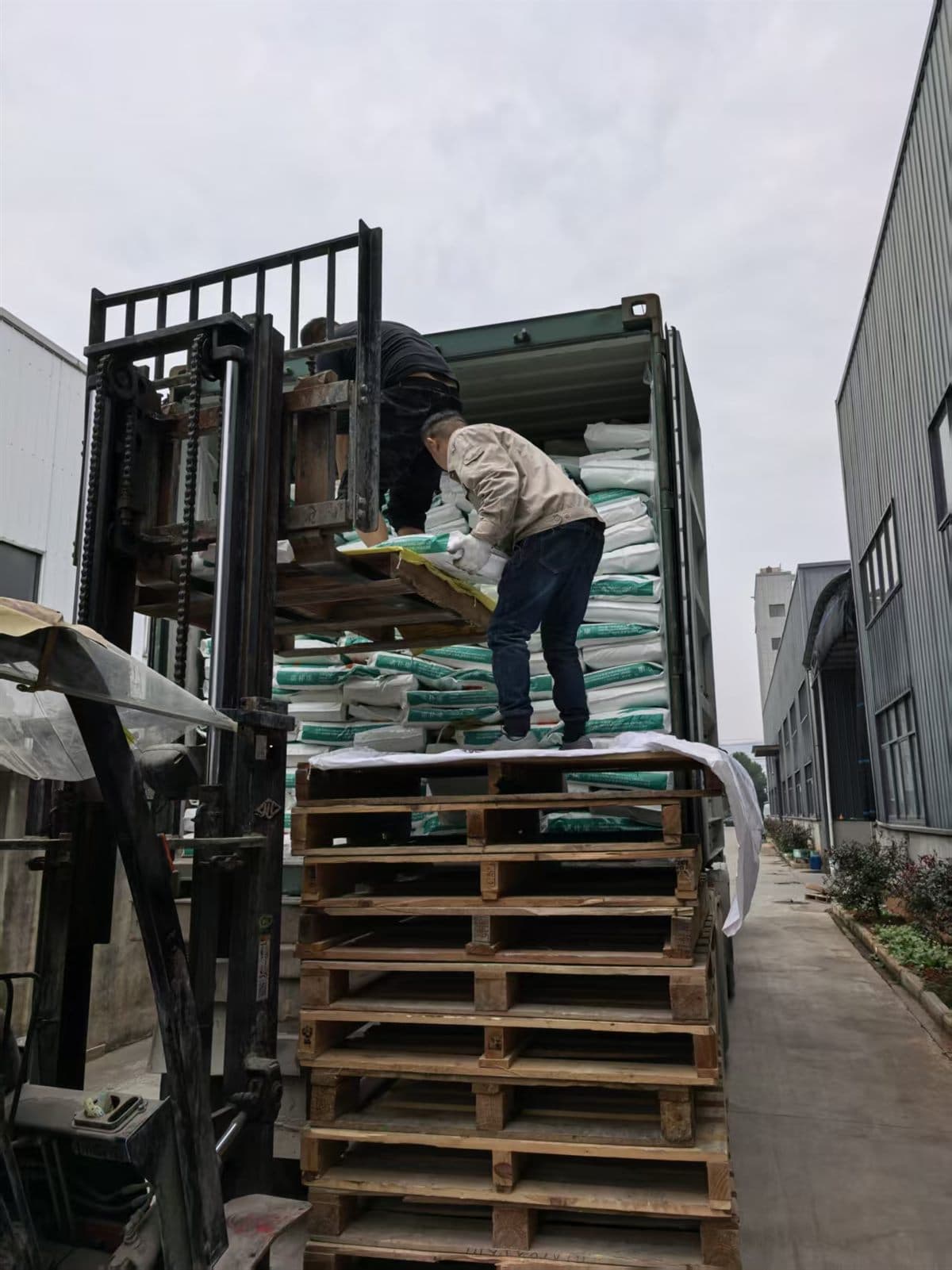 Gabelstapler platziert eine Palette mit Sackware in einen Versandcontainer